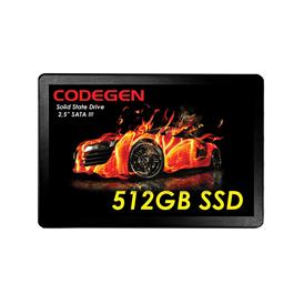 CODEGEN 512 GB 2.5