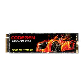 CODEGEN 256 GB NVME SSD 1800/1000 (CDG-256GB-NVME)